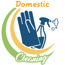 domestic cleaning